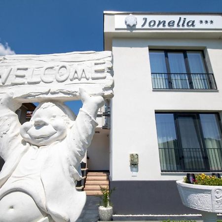 Pensiunea Ionelia Orşova Exterior foto